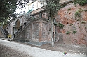 VBS_7119 - Sagra della Lumaca di Govone 2022 - Raduno Fiat 500 e Premio Amico di Govone 2022